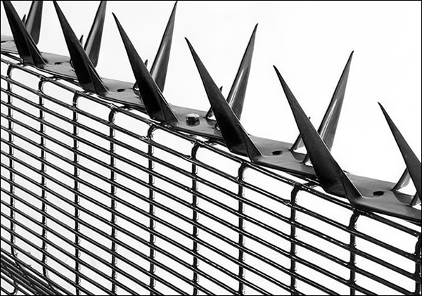wall spike topping high security fencing