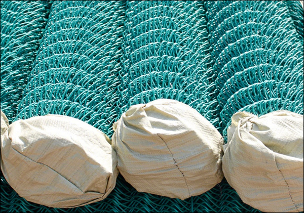 green vinyl coated chain link fence roll 50ft